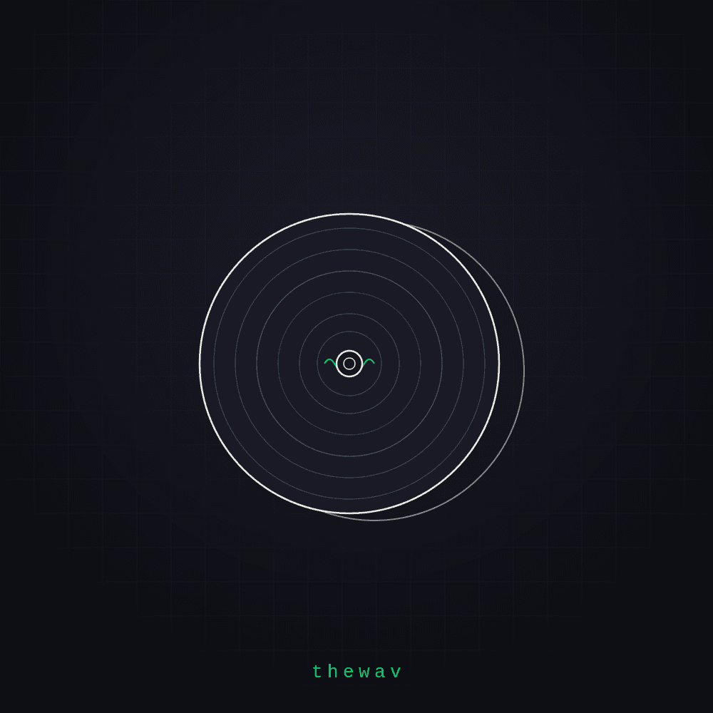 Turntable slipmats