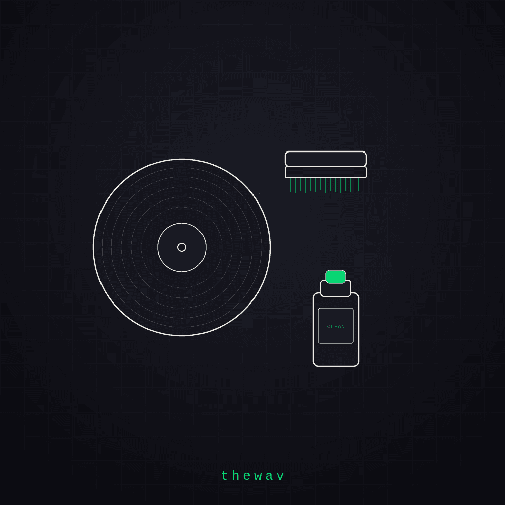 Vinyl record cleaning kit